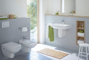 Особенности и тонкости выбора унитаза Duravit