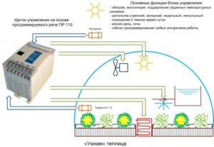 Умная теплица: автоматика для теплиц