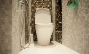 Мозаика в туалете: идеи для декора