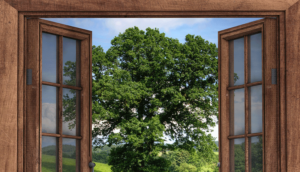 Деревянные оконные рамы: плюсы и минусы экологичного материала