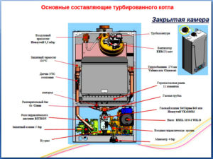 Газовые двухконтурные котлы Baxi: устройство, обзор ассортимента и устранение неисправностей