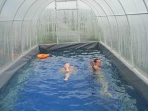 Как сделать бассейн в теплице?