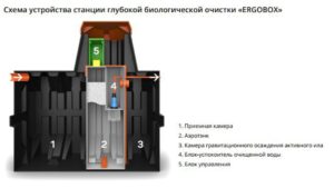 Септики Ergobox: установка и тонкости использования