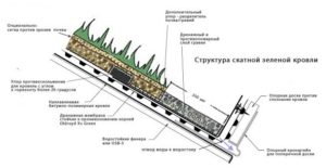 Зеленые крыши: технология устройства травяной кровли