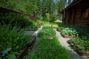 Дизайн сада и огорода на дачном участке