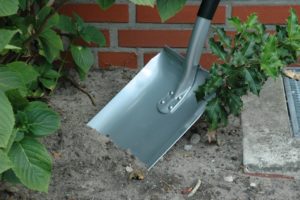 Лопаты: виды и тонкости использования