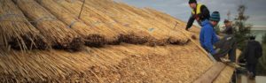 Соломенная крыша: виды и особенности укладки
