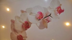 Натяжной потолок с орхидеей: оригинальный декор в интерьере
